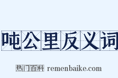 吨公里反义词是什么意思的图片